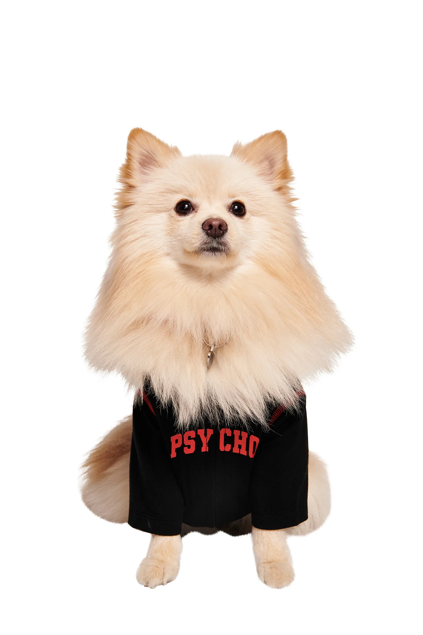 Blare Best Friend Dog Clothing
